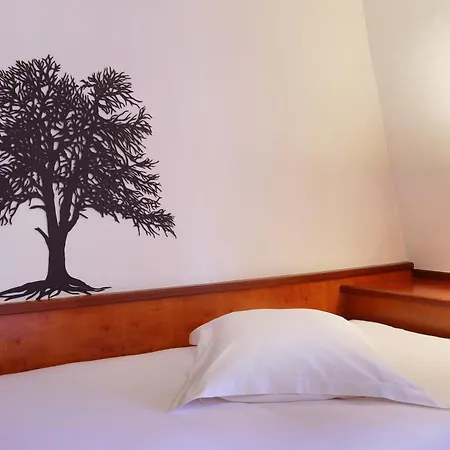 Hotel Suisse