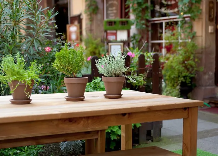 Suisse 3* 斯特拉斯堡