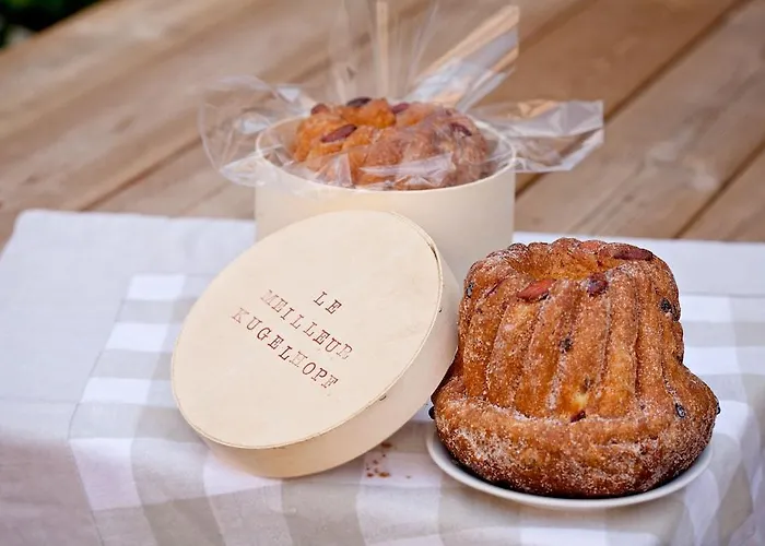 Suisse Hotel Strasbourg