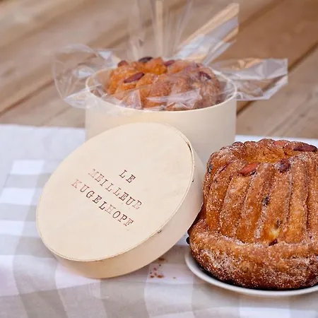 Suisse Hotel Strasbourg